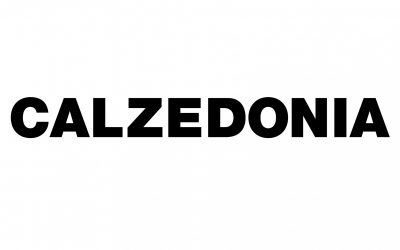 Sales Advisors – Calzedonia